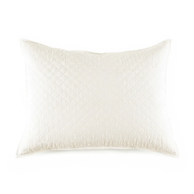 Silk Pillows for Smooth Skin and HairPregnancy Pillows for Expectant MothersHampton Big Pillow With Insert Silk Pillows for Smooth Skin and HairPregnancy Pillows for Expectant MothersHampton Big Pillow With Insert