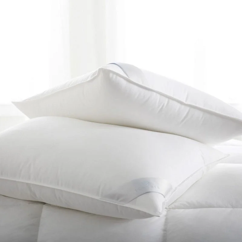 Back Support Pillows for Office ChairsBergen Down Free Pillow